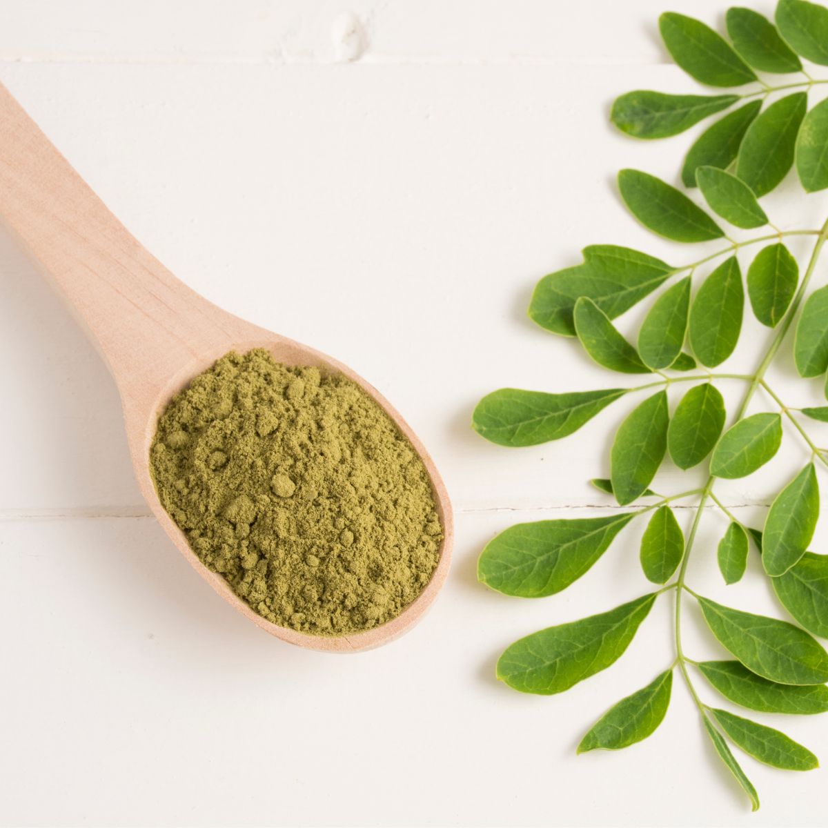 Superfood Spotlight: Moringa